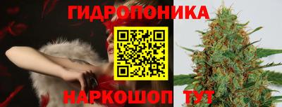 гидропоника Новодвинск