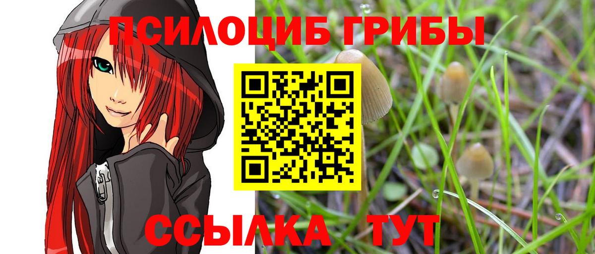 Галлюциногенные грибы MAGIC MUSHROOMS  Вход с VPN  Урай  Галлюциногенные грибы GOLDEN TEACHER 